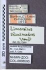 Etiketten zu Gambrinus seminudus (NHMW-ZOO-COL-0008590)